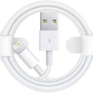 Apple Iphone USB to Lightning