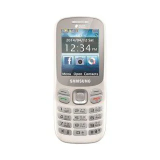 Samsung Metro 313